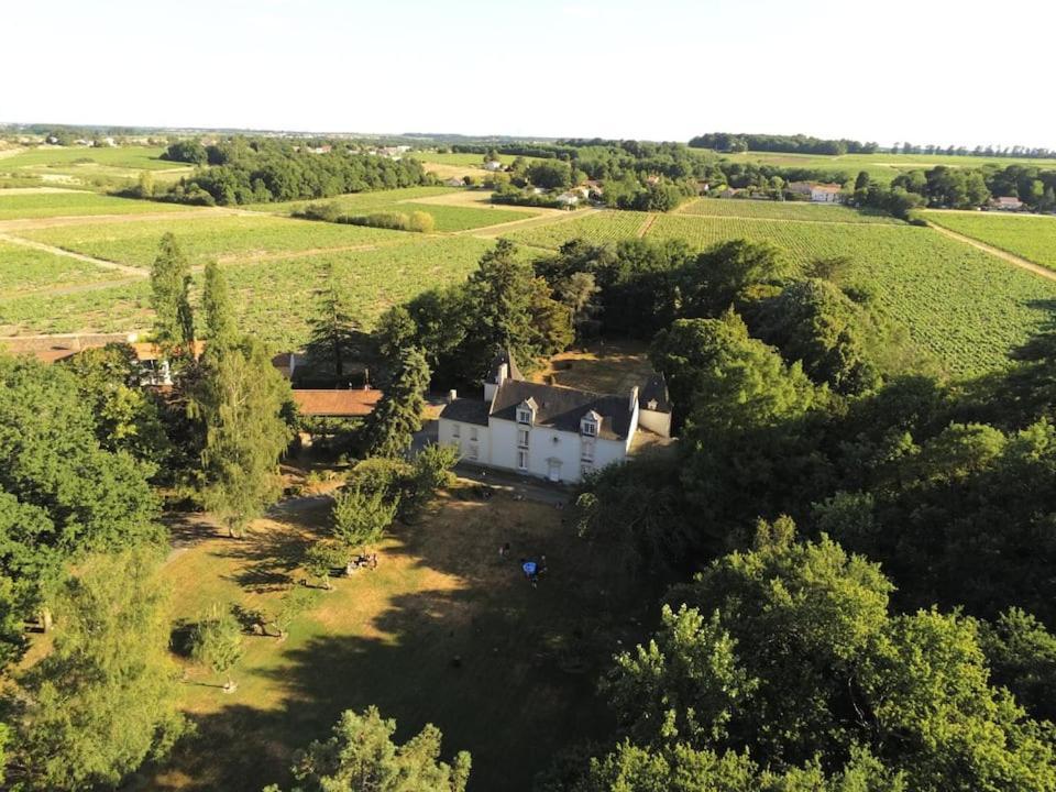 Du Vignoble A L'Atlantique - Chateau Cassemichere Gite La Chapelle-Heulin Luaran gambar